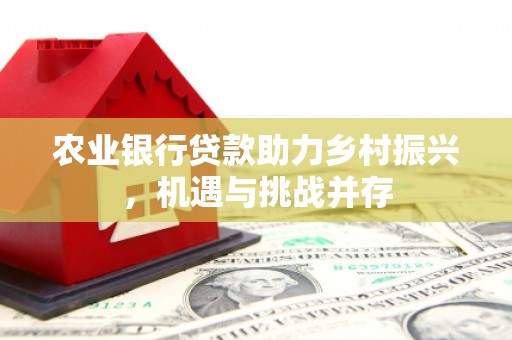朴子农业银行贷款助力乡村振兴，机遇与挑战并存