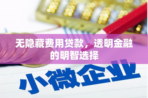 朴子无隐藏费用贷款，透明金融的明智选择