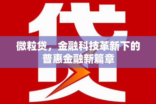 朴子微粒贷，金融科技革新下的普惠金融新篇章