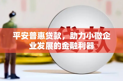 朴子平安普惠贷款，助力小微企业发展的金融利器