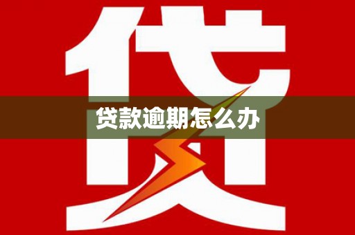 朴子贷款逾期怎么办