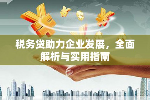 朴子税务贷助力企业发展，全面解析与实用指南