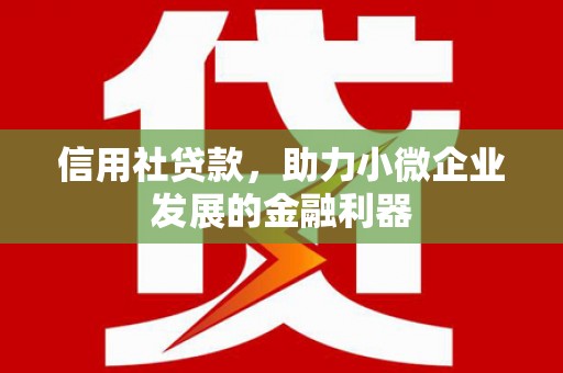 朴子信用社贷款，助力小微企业发展的金融利器