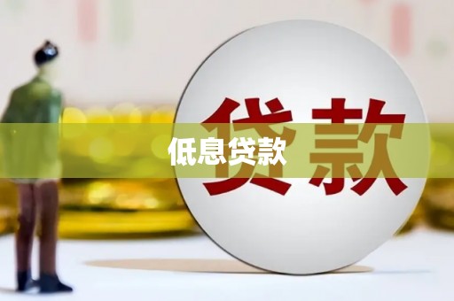 朴子低息贷款