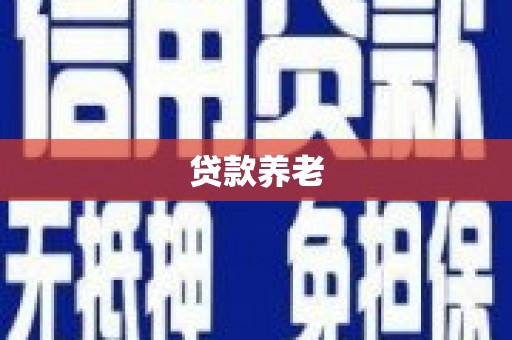 朴子贷款养老