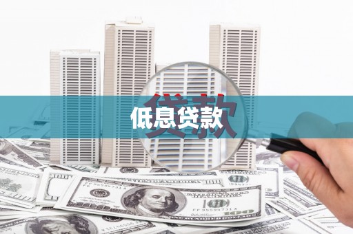 朴子低息贷款