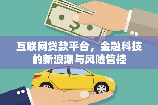 朴子互联网贷款平台，金融科技的新浪潮与风险管控