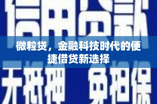 朴子微粒贷，金融科技时代的便捷借贷新选择