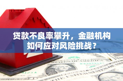 朴子贷款不良率攀升，金融机构如何应对风险挑战？
