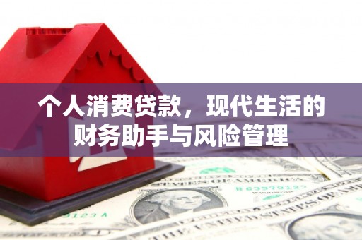 朴子个人消费贷款，现代生活的财务助手与风险管理