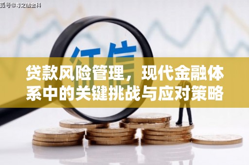 朴子贷款风险管理，现代金融体系中的关键挑战与应对策略