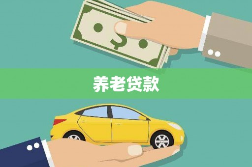 朴子养老贷款