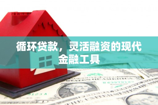 朴子循环贷款，灵活融资的现代金融工具