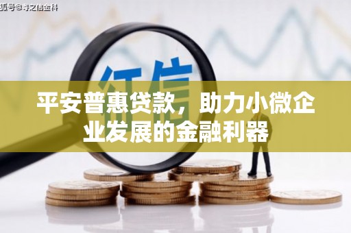 朴子平安普惠贷款，助力小微企业发展的金融利器
