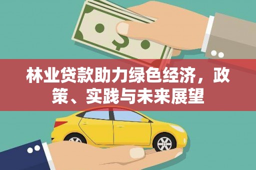 朴子林业贷款助力绿色经济，政策、实践与未来展望