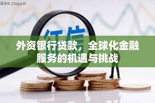 朴子外资银行贷款，全球化金融服务的机遇与挑战