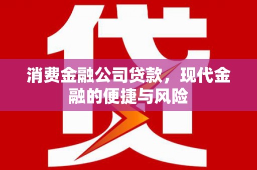 朴子消费金融公司贷款，现代金融的便捷与风险