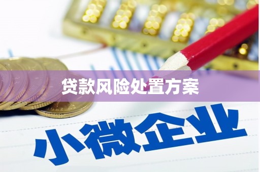 朴子贷款风险处置方案