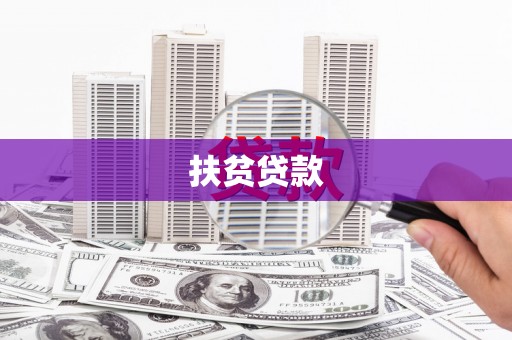 朴子扶贫贷款