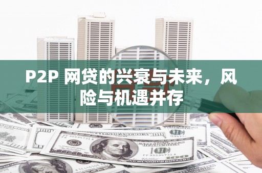朴子P2P 网贷的兴衰与未来，风险与机遇并存