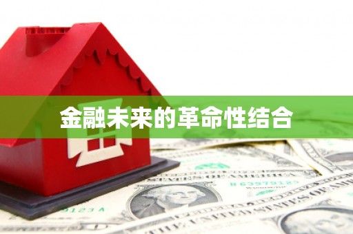 朴子金融未来的革命性结合