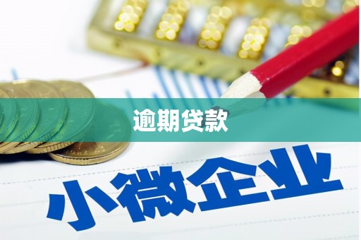 朴子逾期贷款